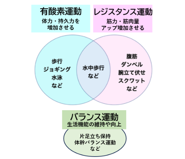 有酸素運動 レジスタンス運動 バランス運動のイラスト