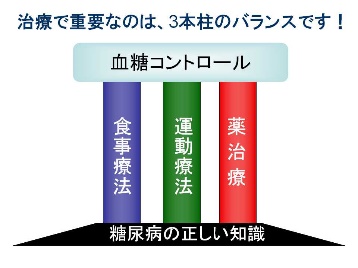 糖尿病治療の３つの療法イラスト図