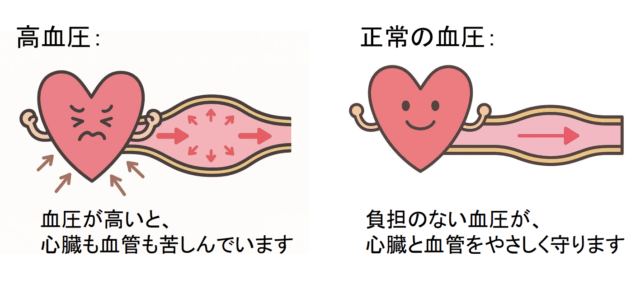 高血圧イラスト