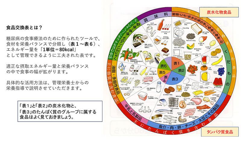 食品交換表のイラスト